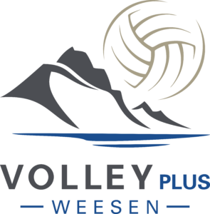 logo volleyplus