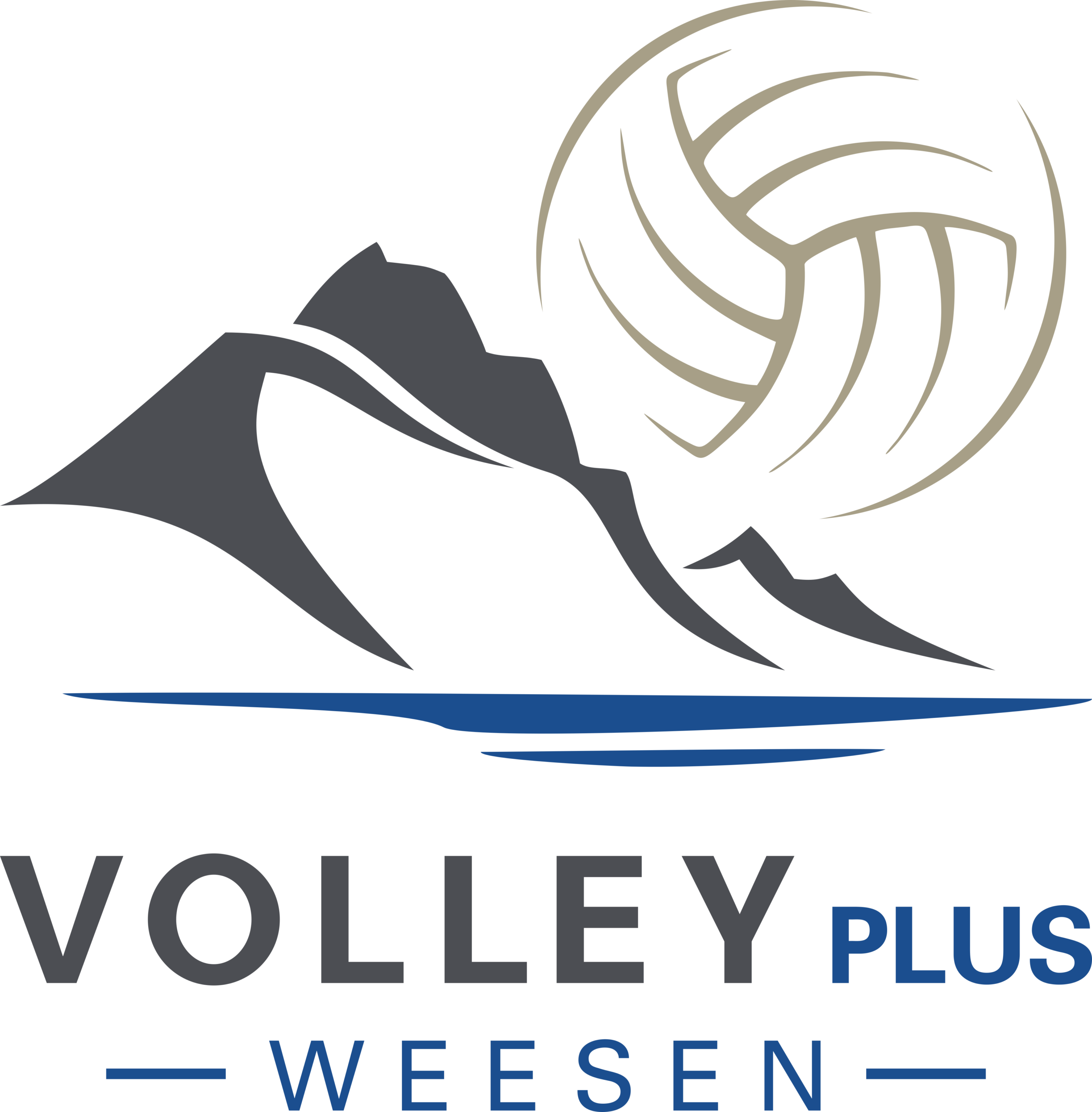 VolleyPlus Weesen